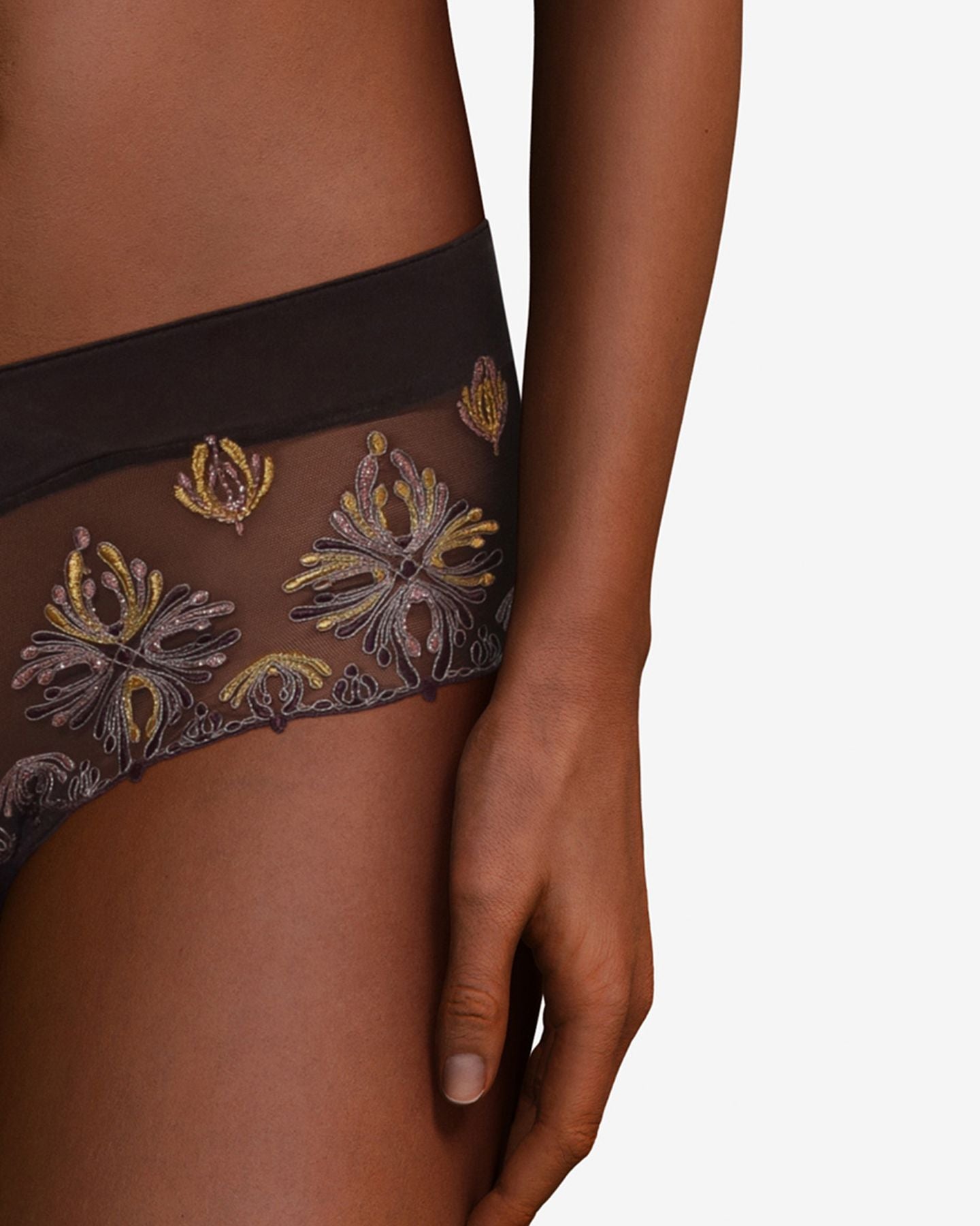 Chantelle Champs Elysees Lace Hipster in brown