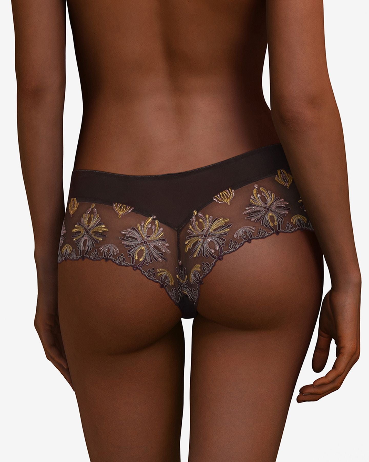 Chantelle Champs Elysees Lace Hipster in brown