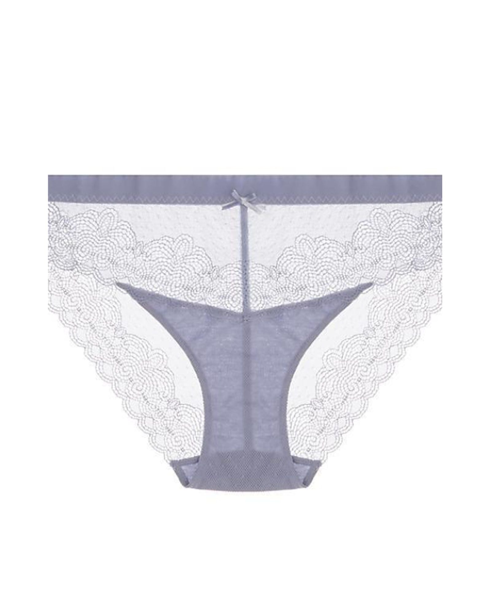 Chantelle Le Marais Lace Cheeky Bikini in blue