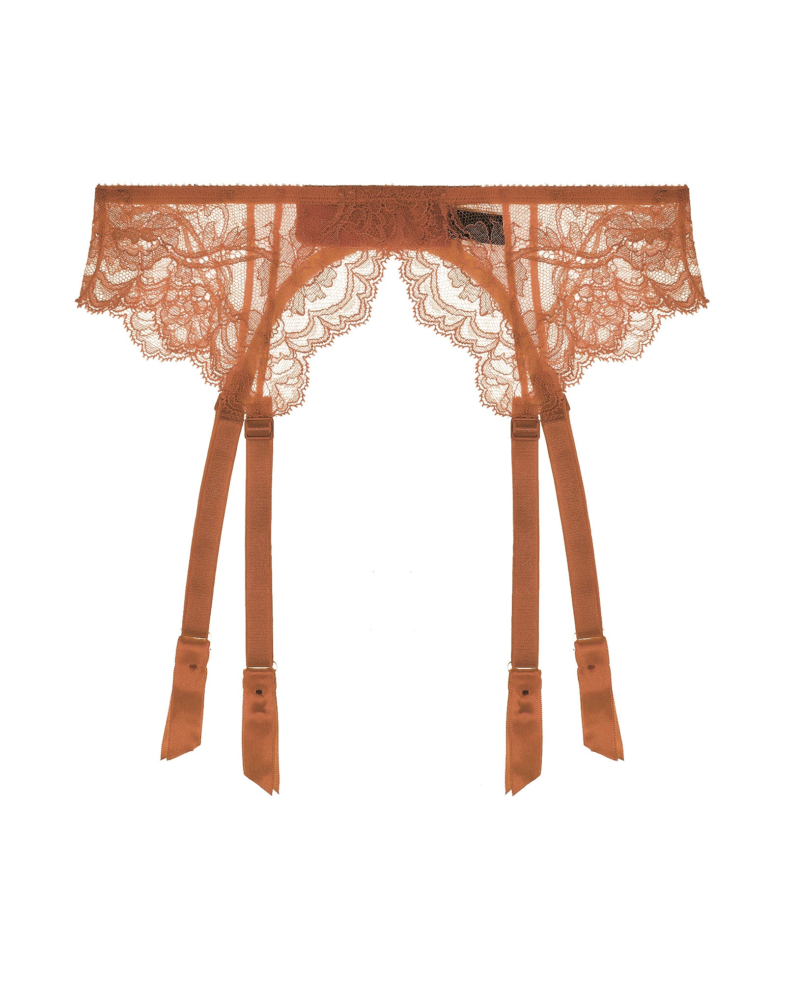 Journelle Anais Suspender Belt in brown