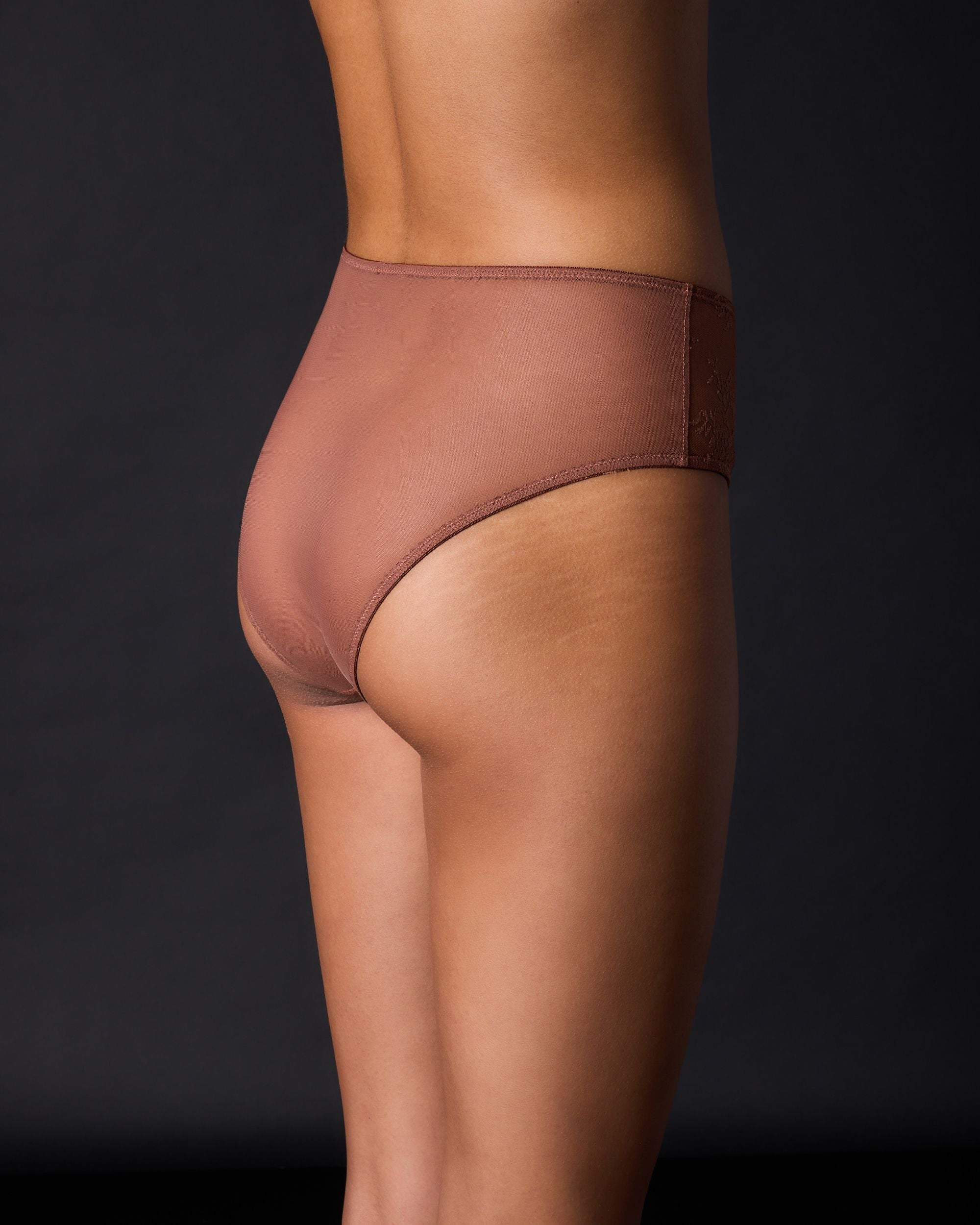 Journelle Romy High Waist Brief in brown