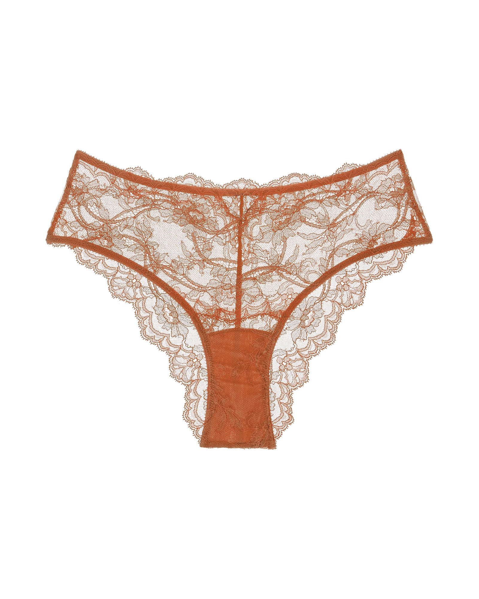 Journelle Anais High Waist Brief in brown