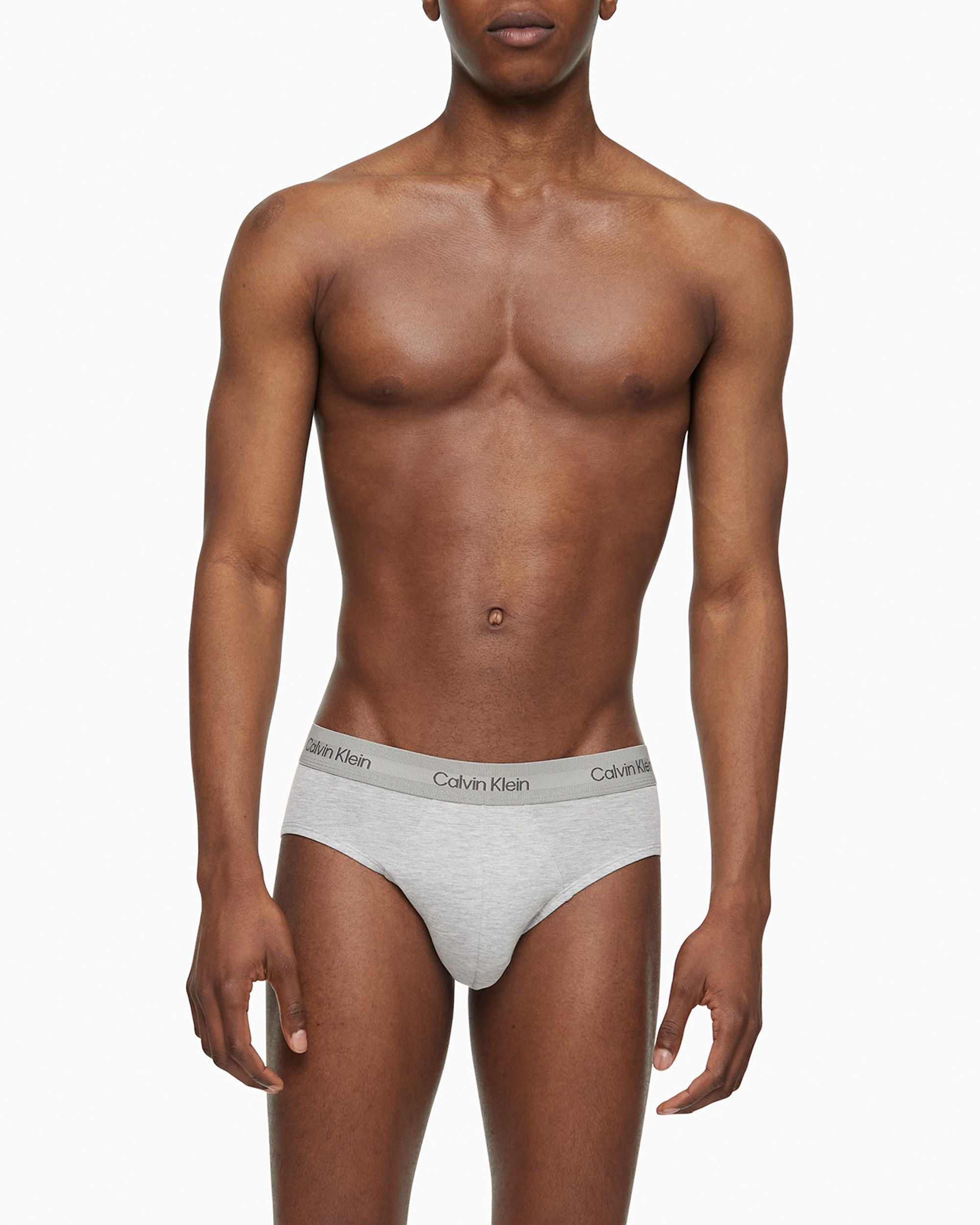 Calvin Klein Ultra Soft Modern Hip Brief in gray
