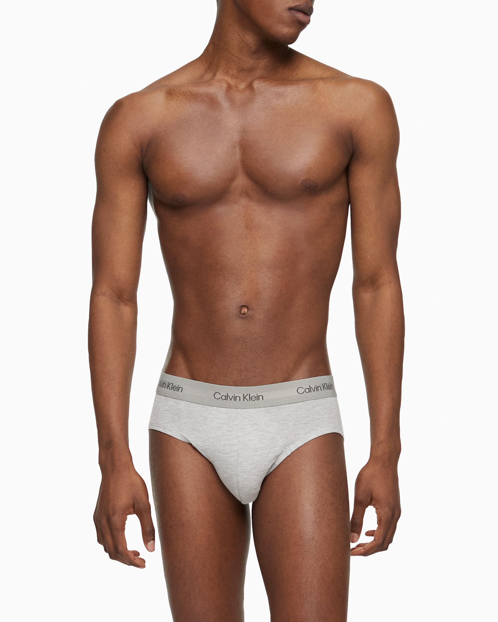 Calvin Klein Ultra Soft Modern Hip Brief in gray