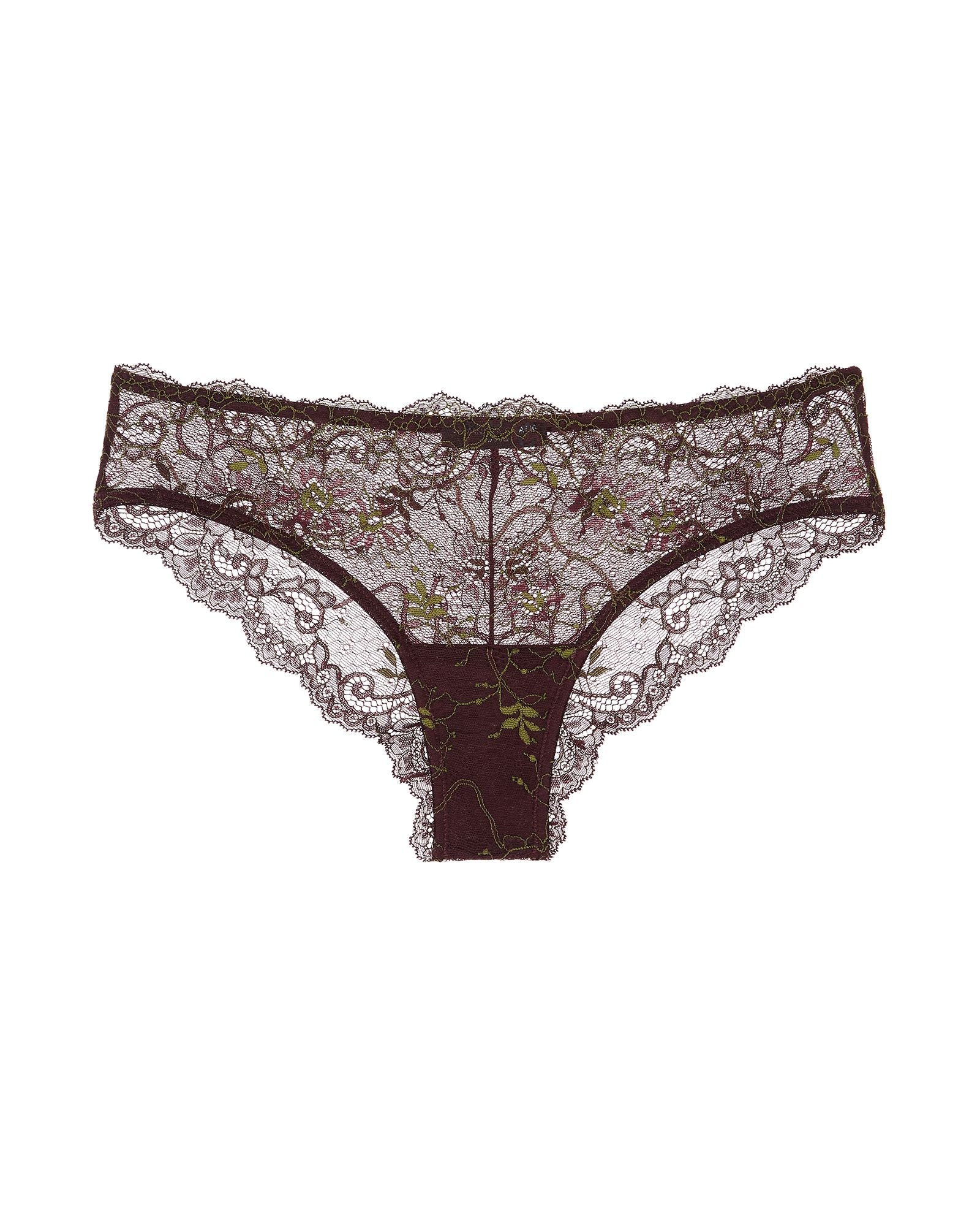 Samantha Chang Chang All Lace Amour Brief in purple