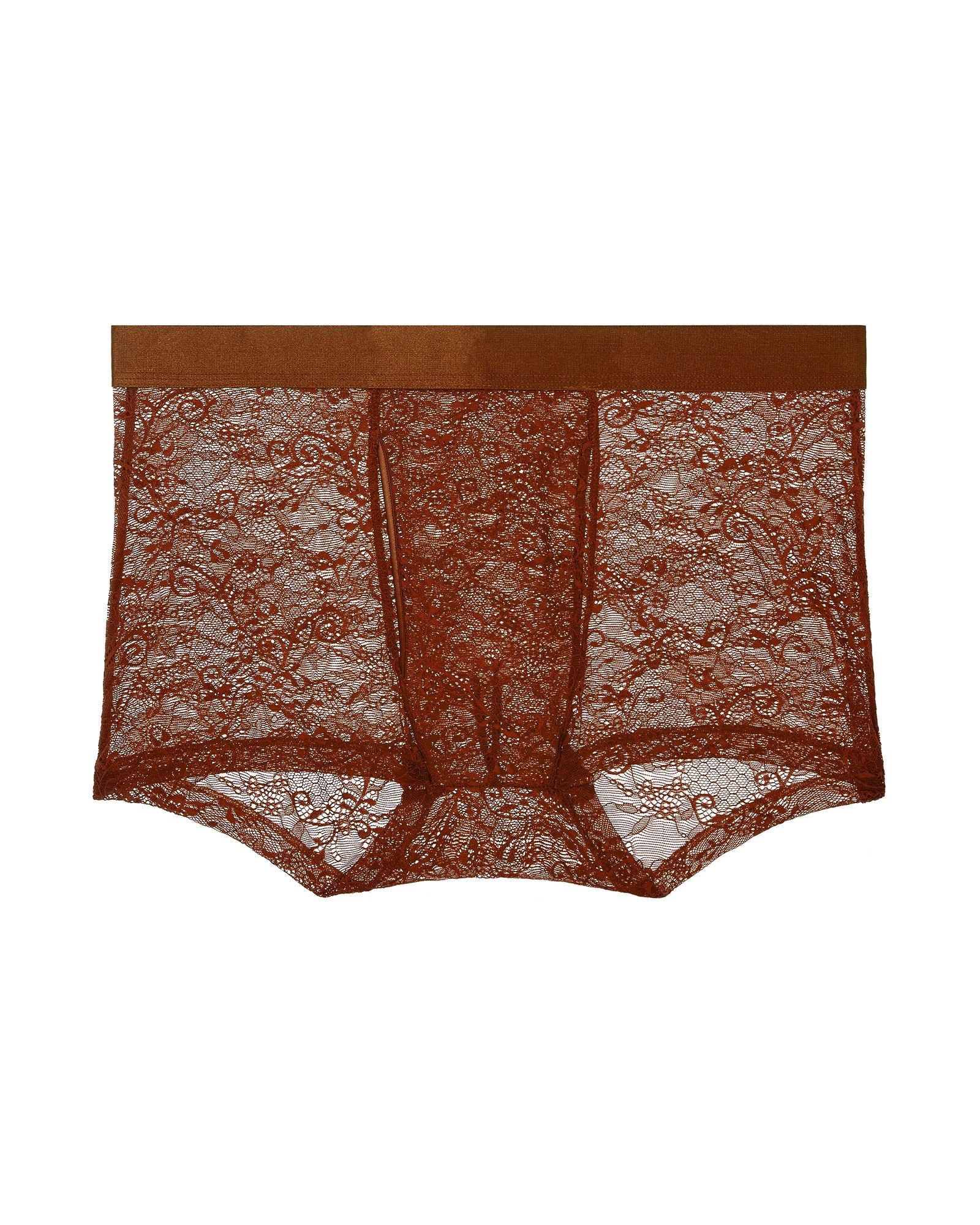 Journelle Sapna Mens Boxer Brief in brown