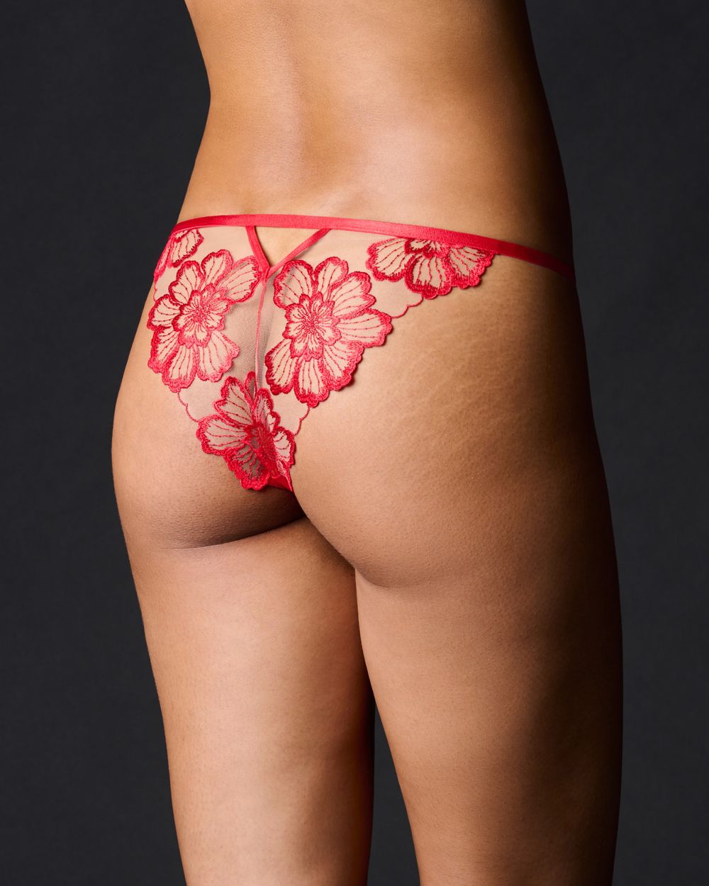 Bluebella Catalina Brief in red