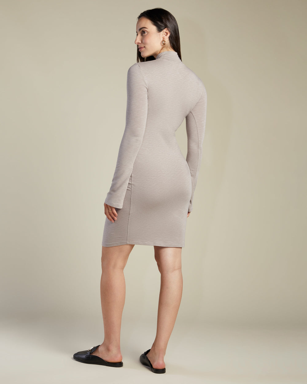 A Pea In the Pod Willow Long Sleeve Mockneck Dress in brown