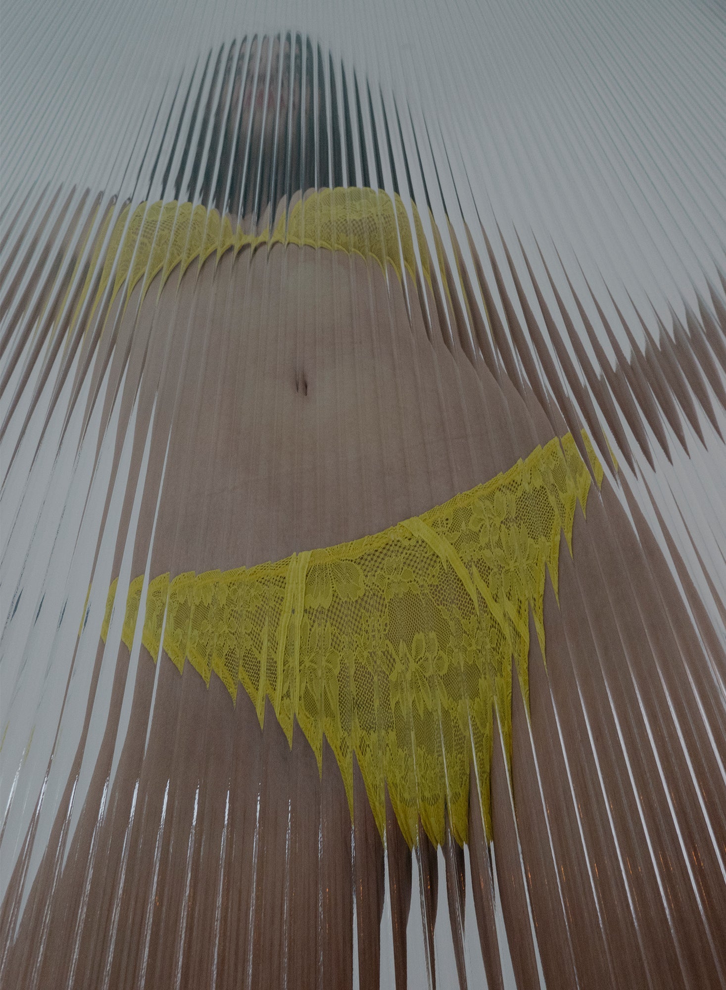 Le Stretch Lace Cheeky
