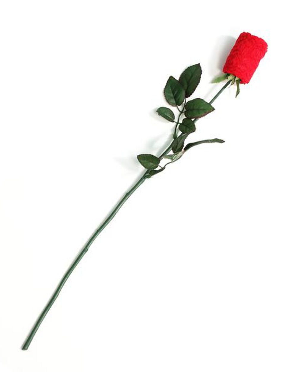 Hanky Panky Rosebud Low Rise Thong in red