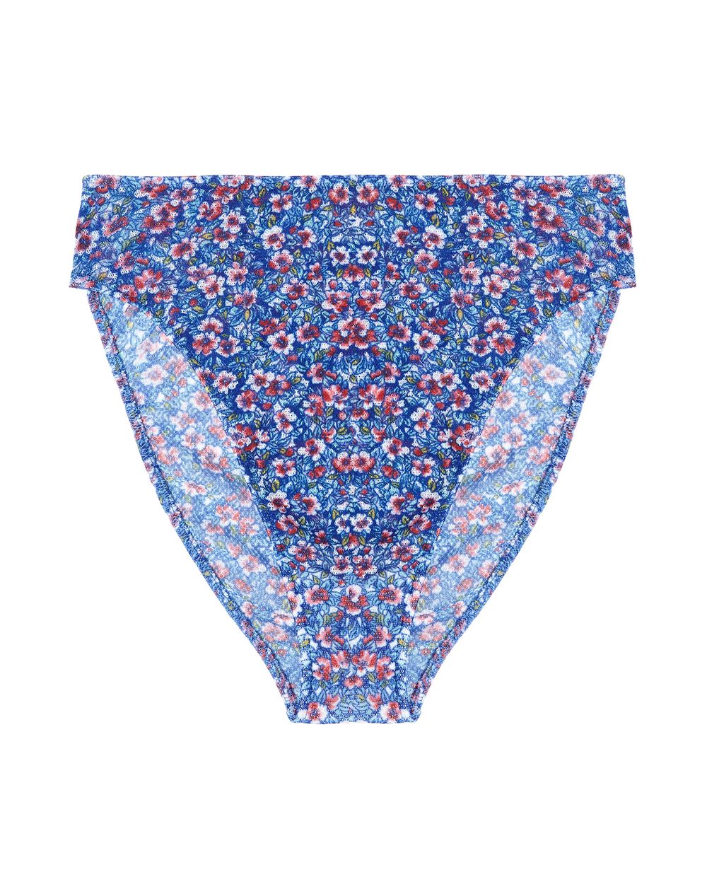 Only Hearts Catskill Summer Tulle High Cut Brief in blue