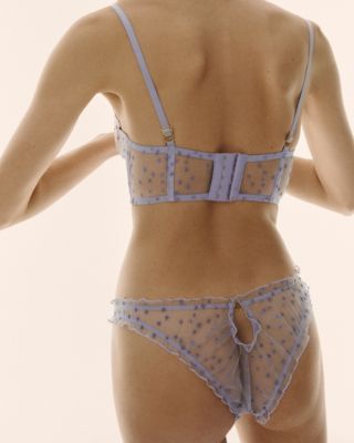 Le Petit Trou Aster Brief in purple