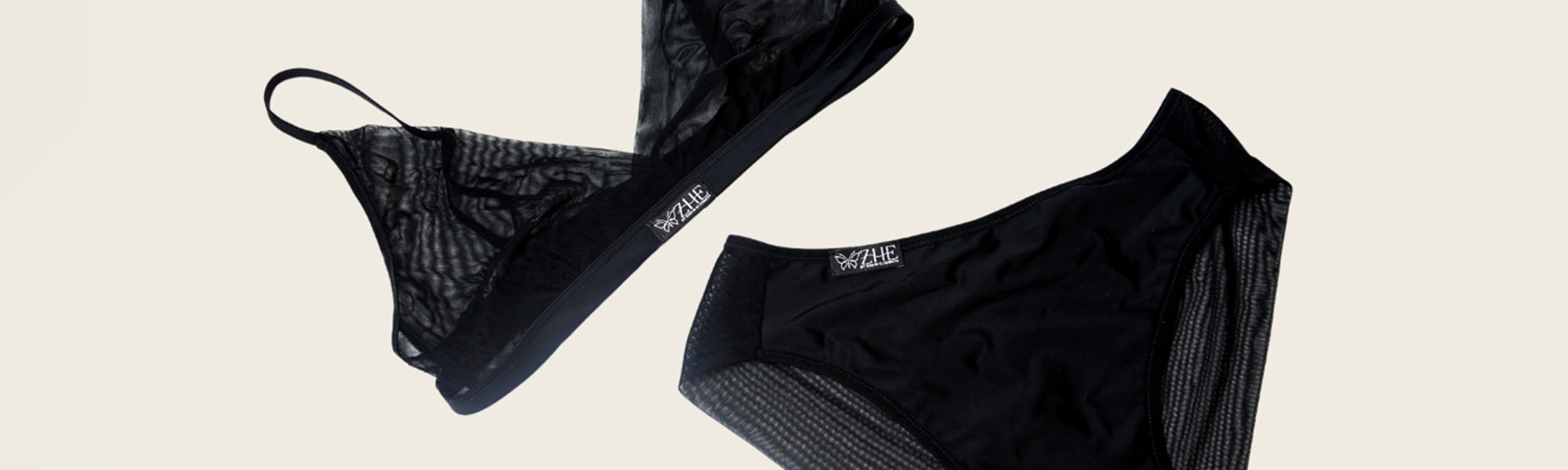 The Zhe Bella Sheer Mesh Bralette and Full Compression Panty