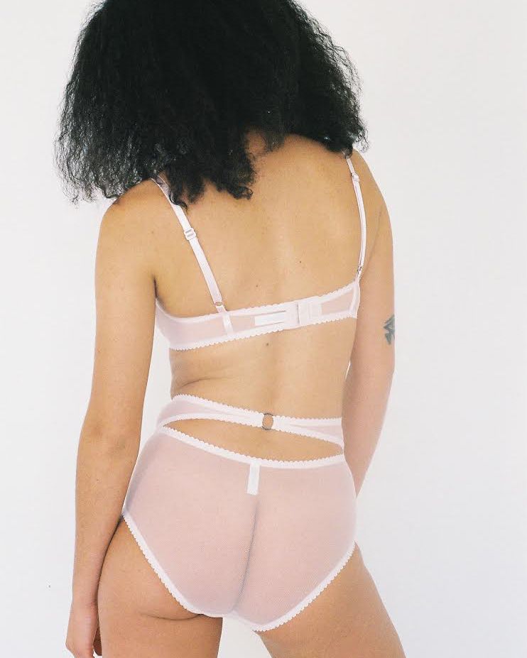 Lonely Lexi High Waisted Brief in pink