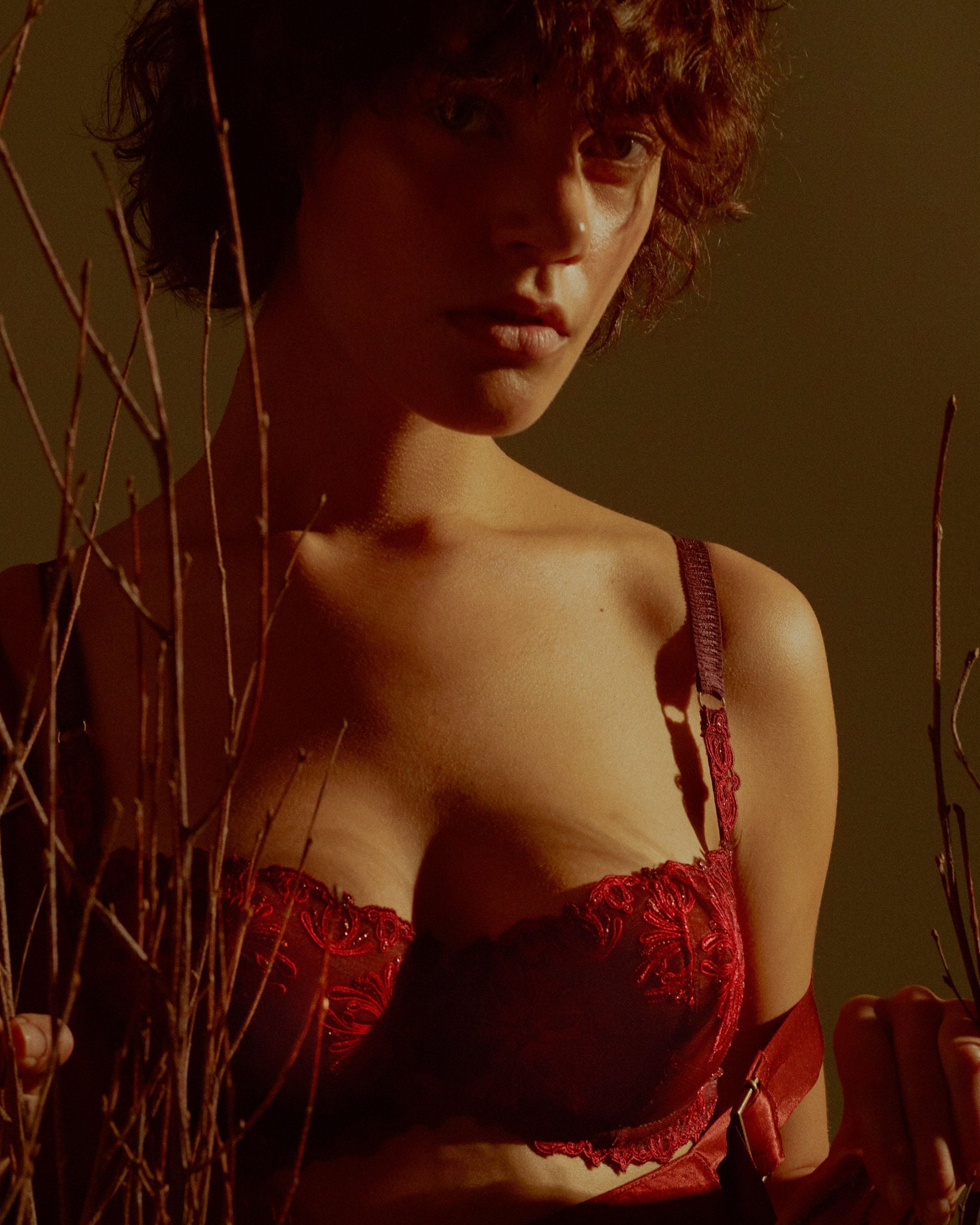 Chantelle Champs Elysees Lace Demi Bra in red