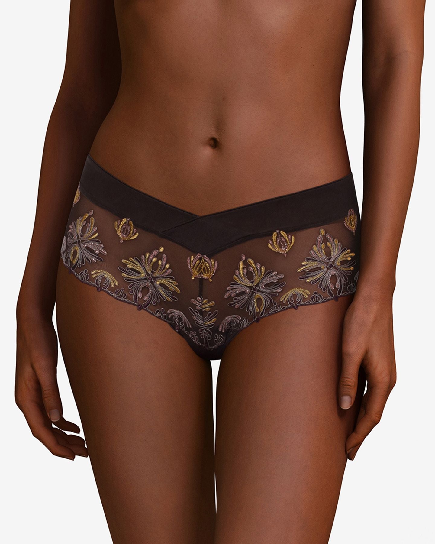 Chantelle Champs Elysees Lace Hipster in brown