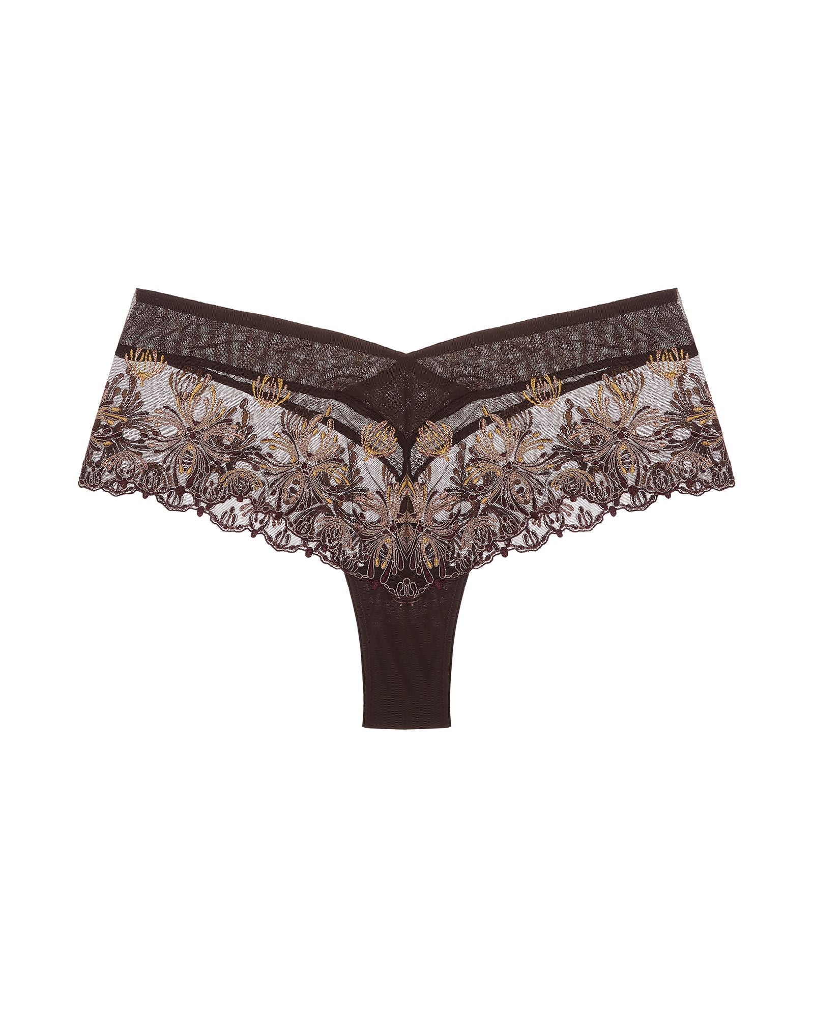 Chantelle Champs Elysees Lace Hipster in brown