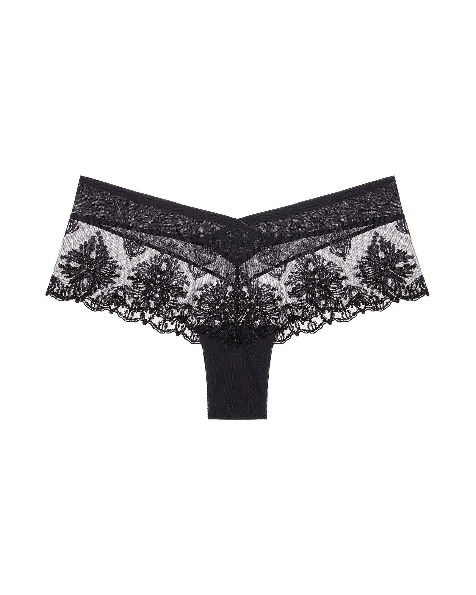 Chantelle Champs Elysees Lace Hipster in black