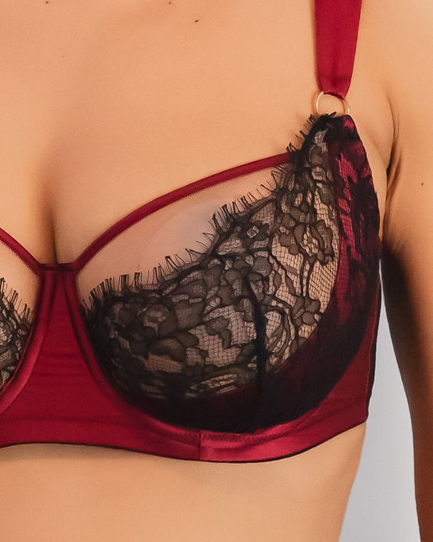 TeAmore Dusk Leavers Lace Bra in red