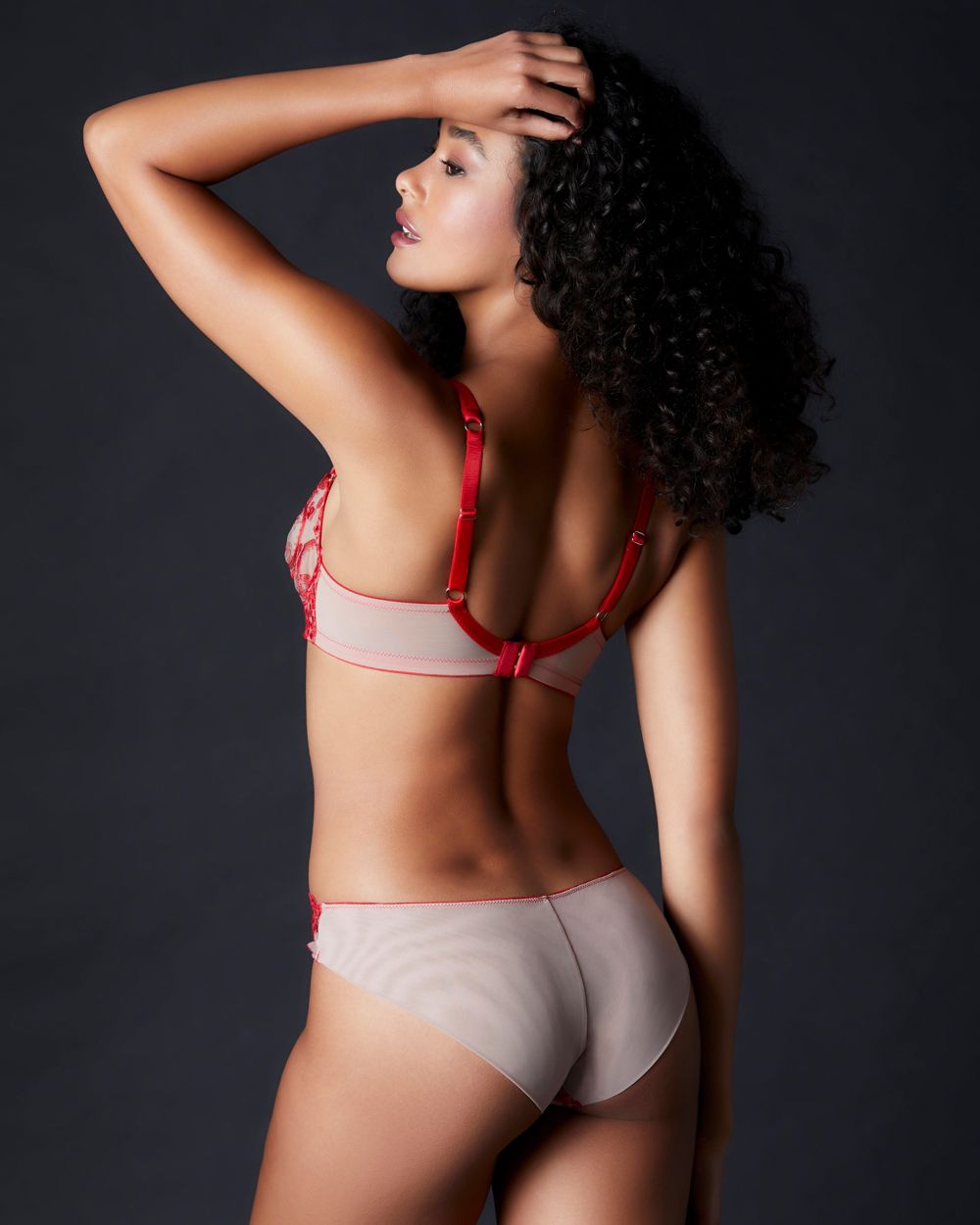 TeAmore Spotlight Embroidered Brief in red