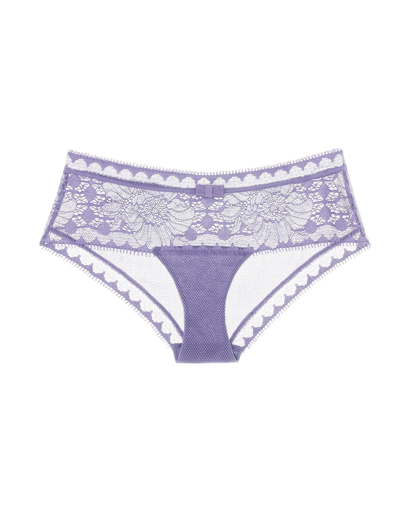 Chantelle Day to Night Hipster in purple