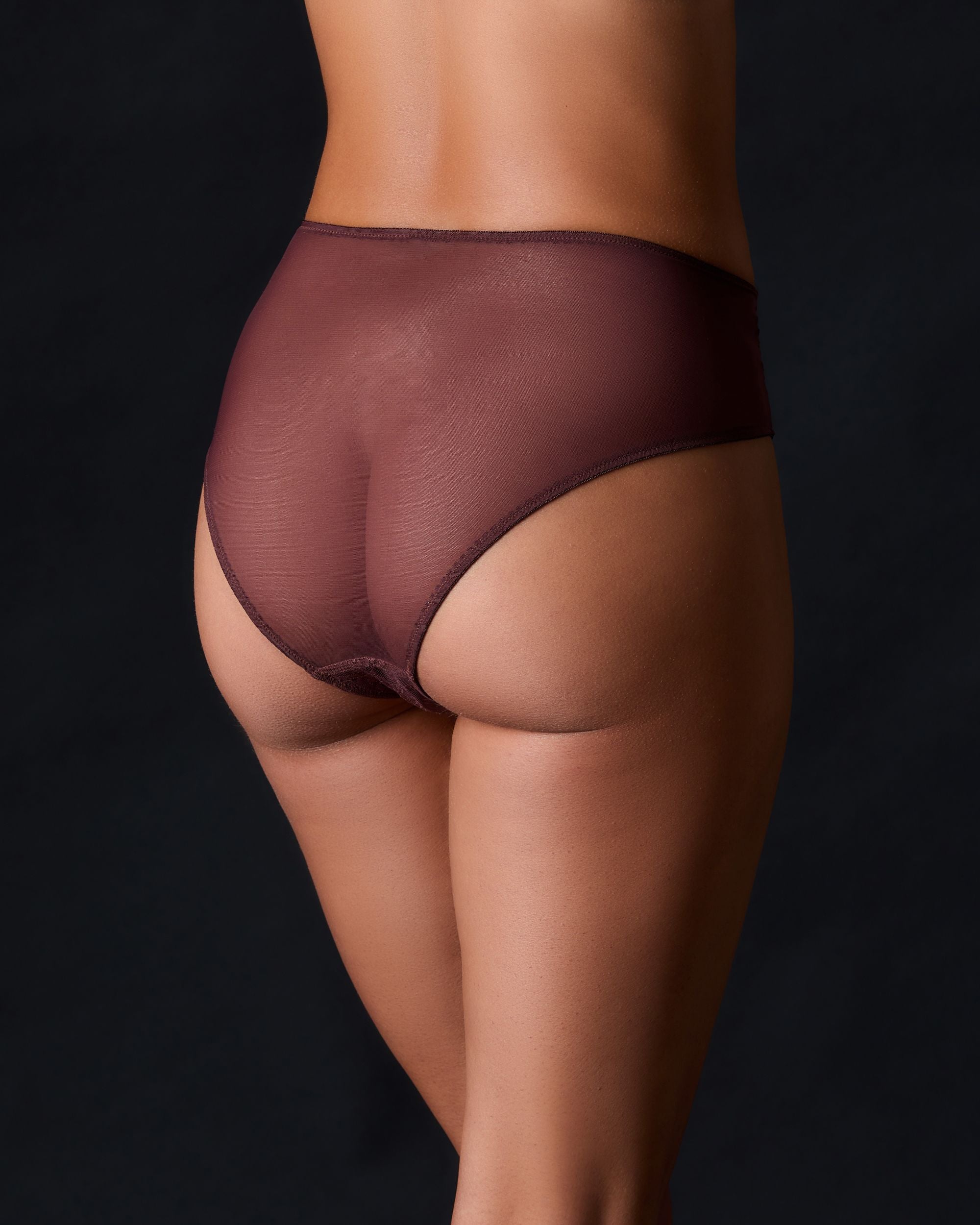 Journelle Romy High Waist Brief in brown