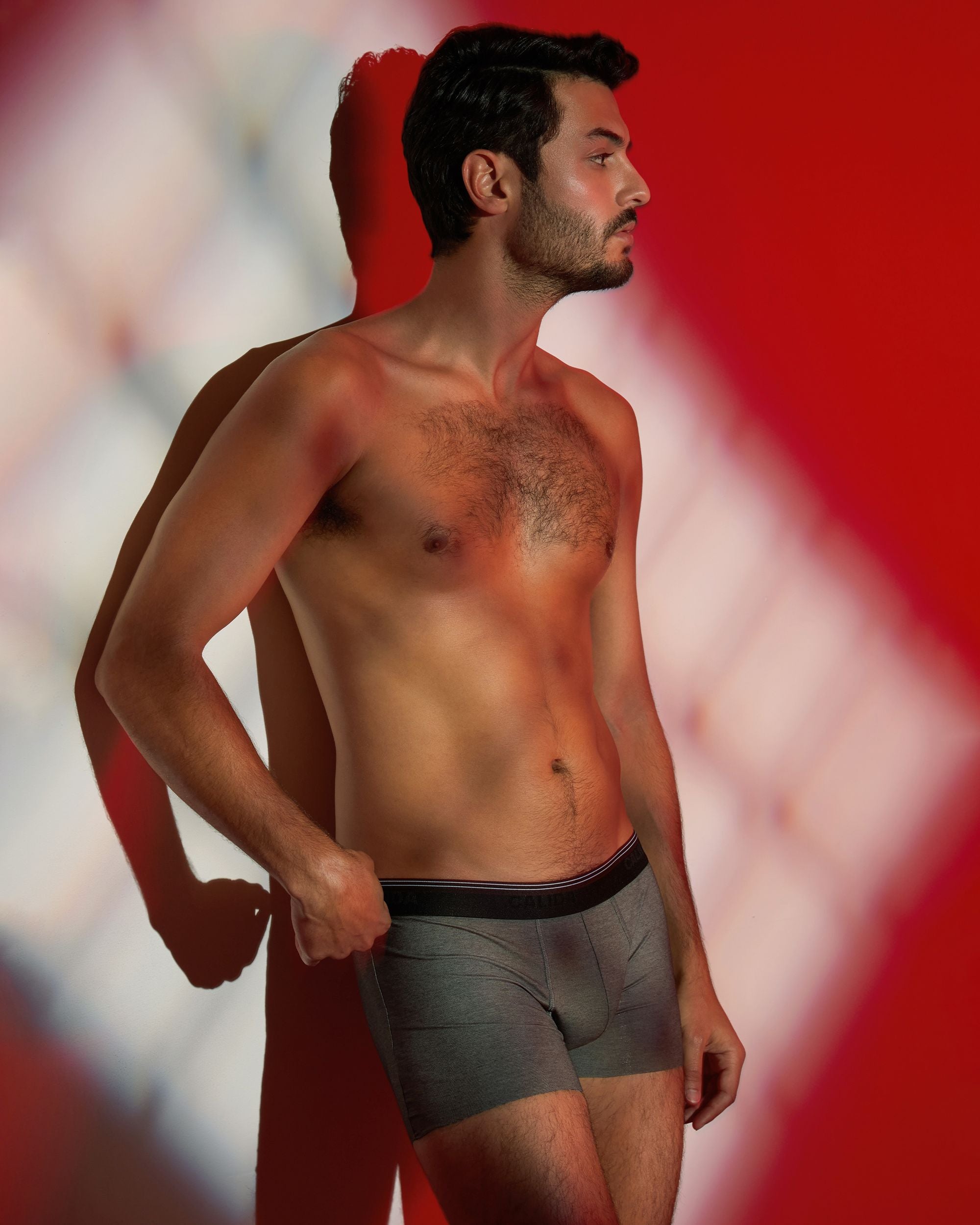 Calida Fresh Cotton Boxer Brief in gray