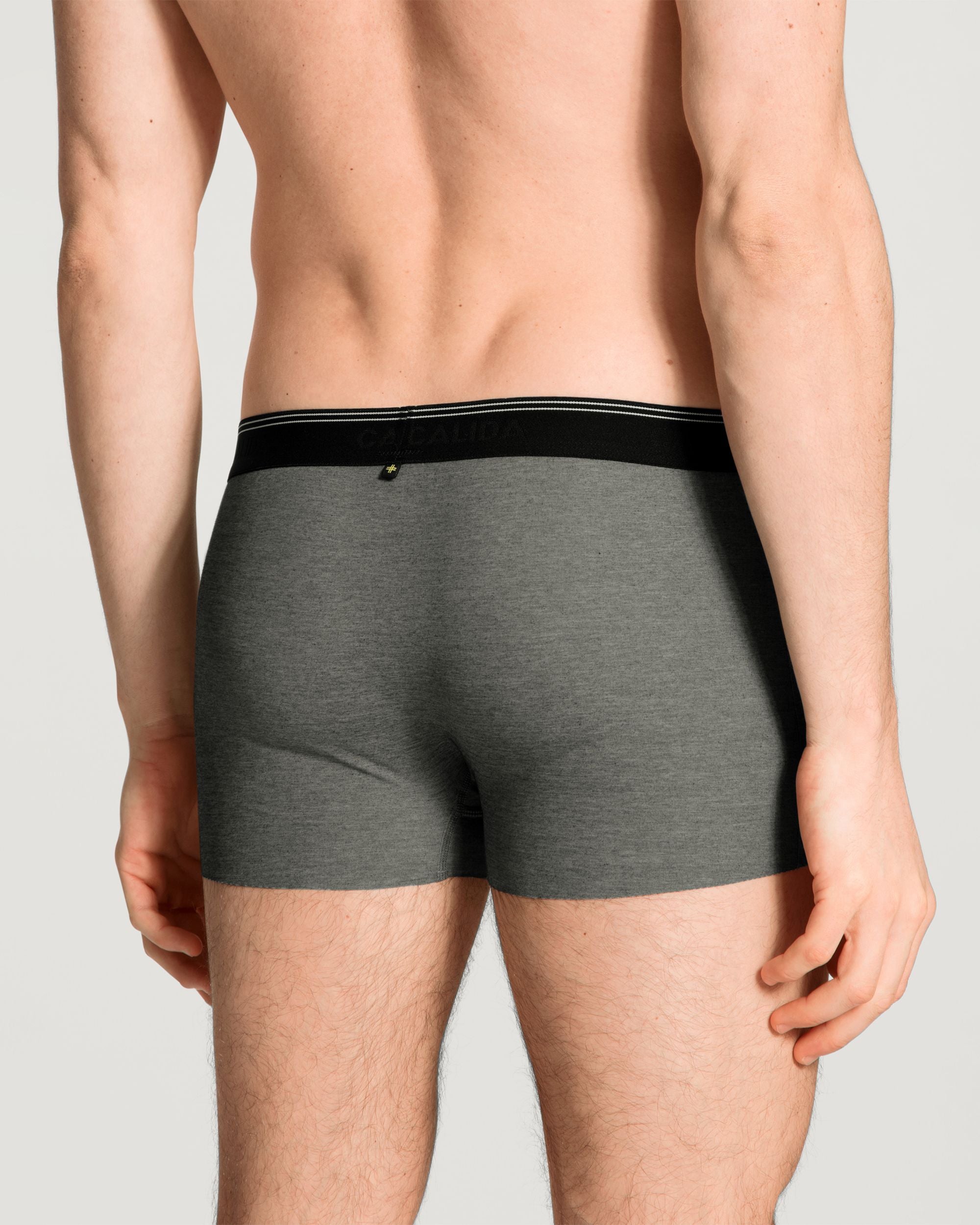 Calida Fresh Cotton Boxer Brief in gray