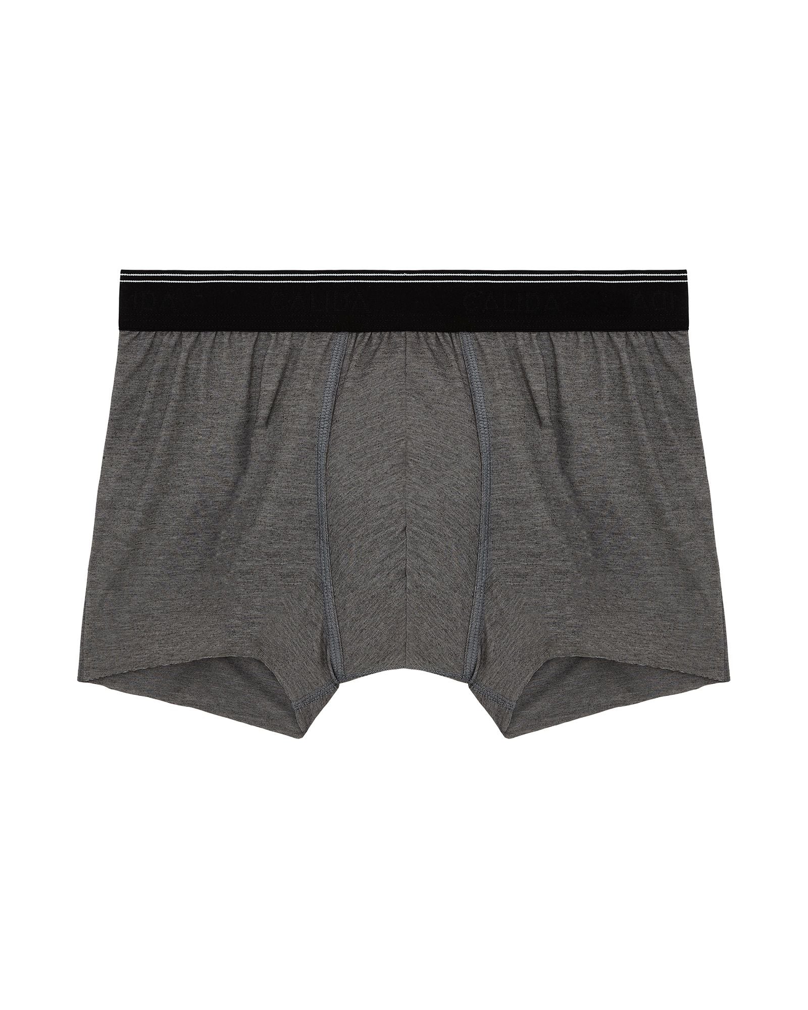 Calida Fresh Cotton Boxer Brief in gray