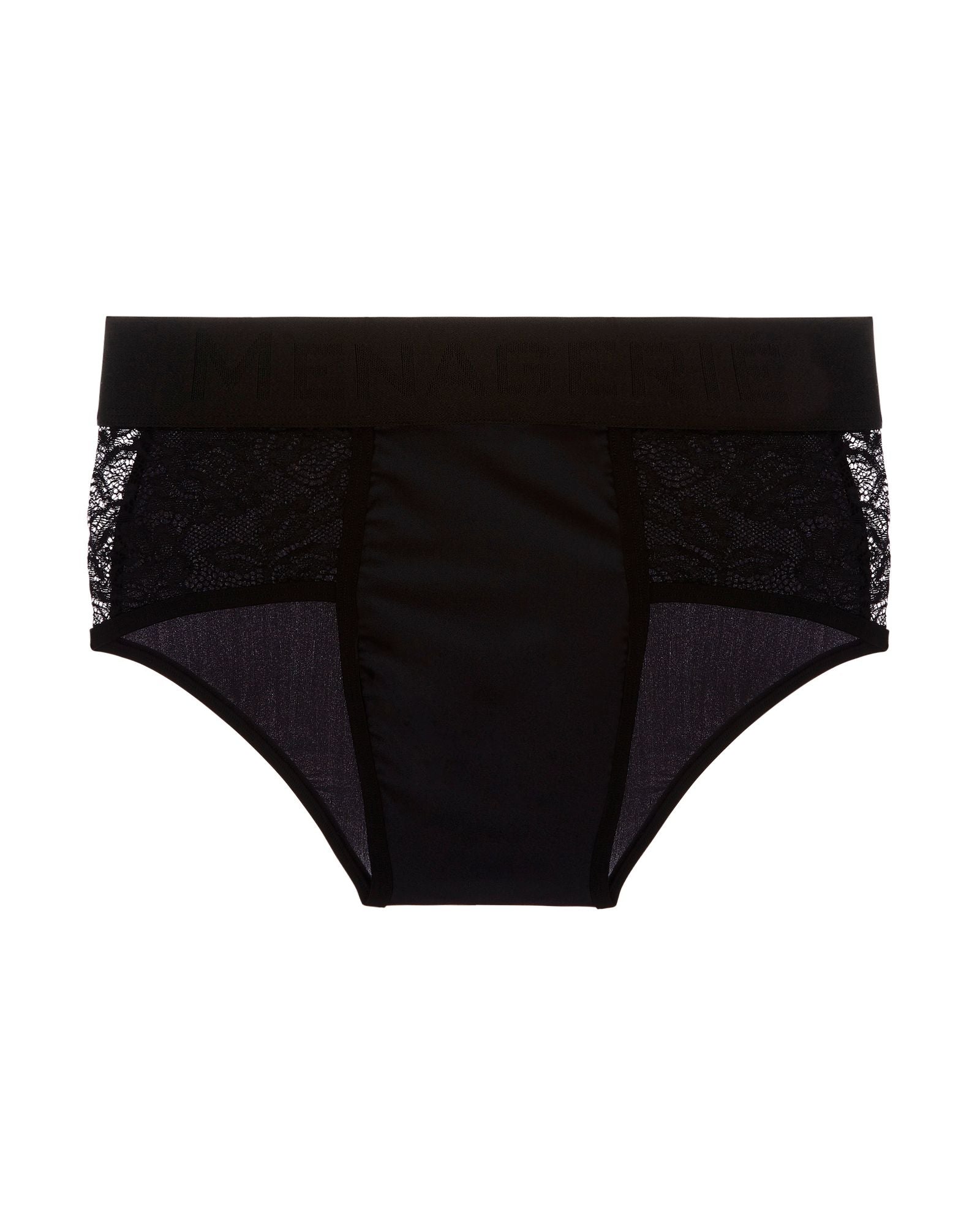 Menagerie Core Lace Hip Brief in black