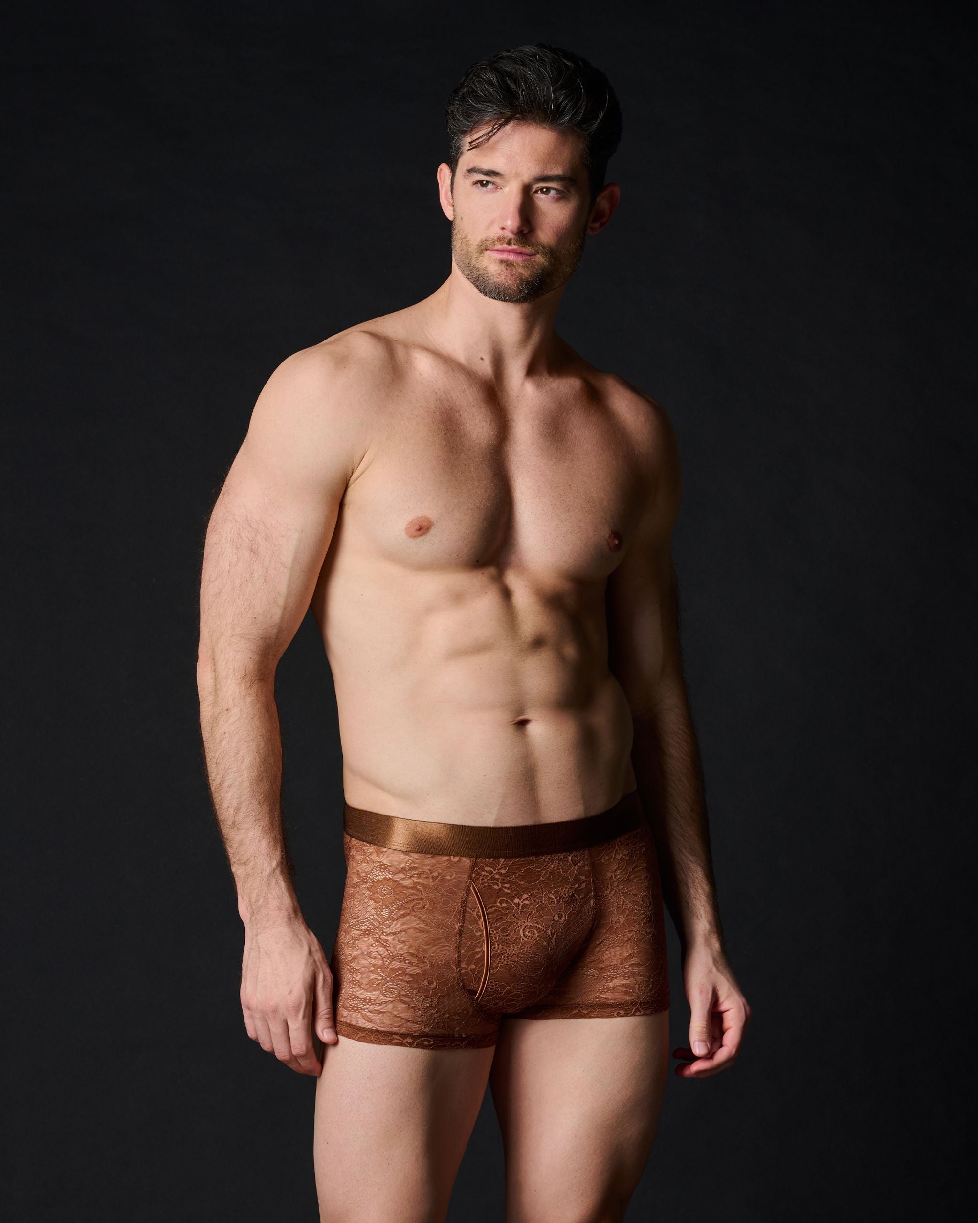 Journelle Sapna Mens Boxer Brief in brown