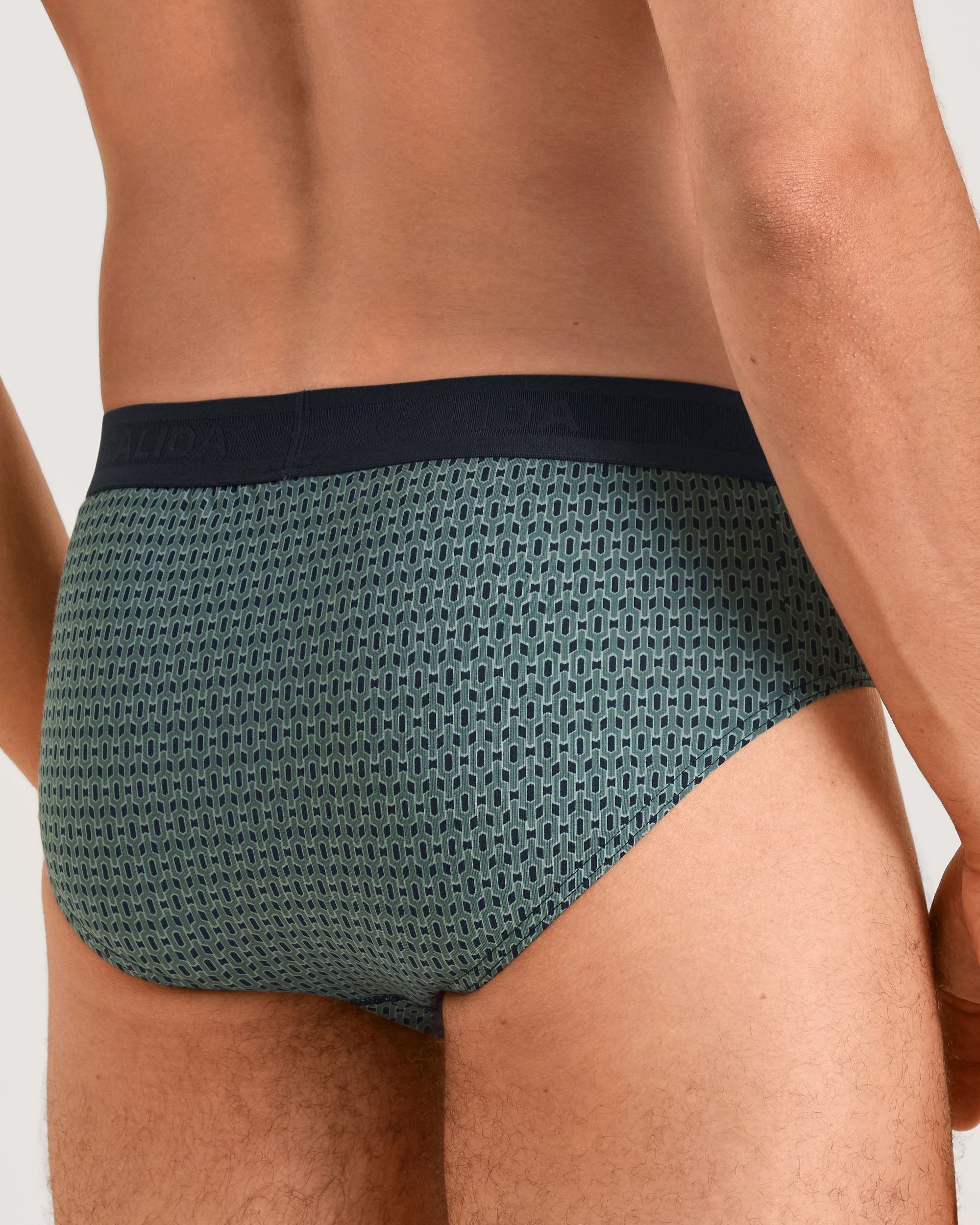 Calida Grafic Cotton Men's Brief in green