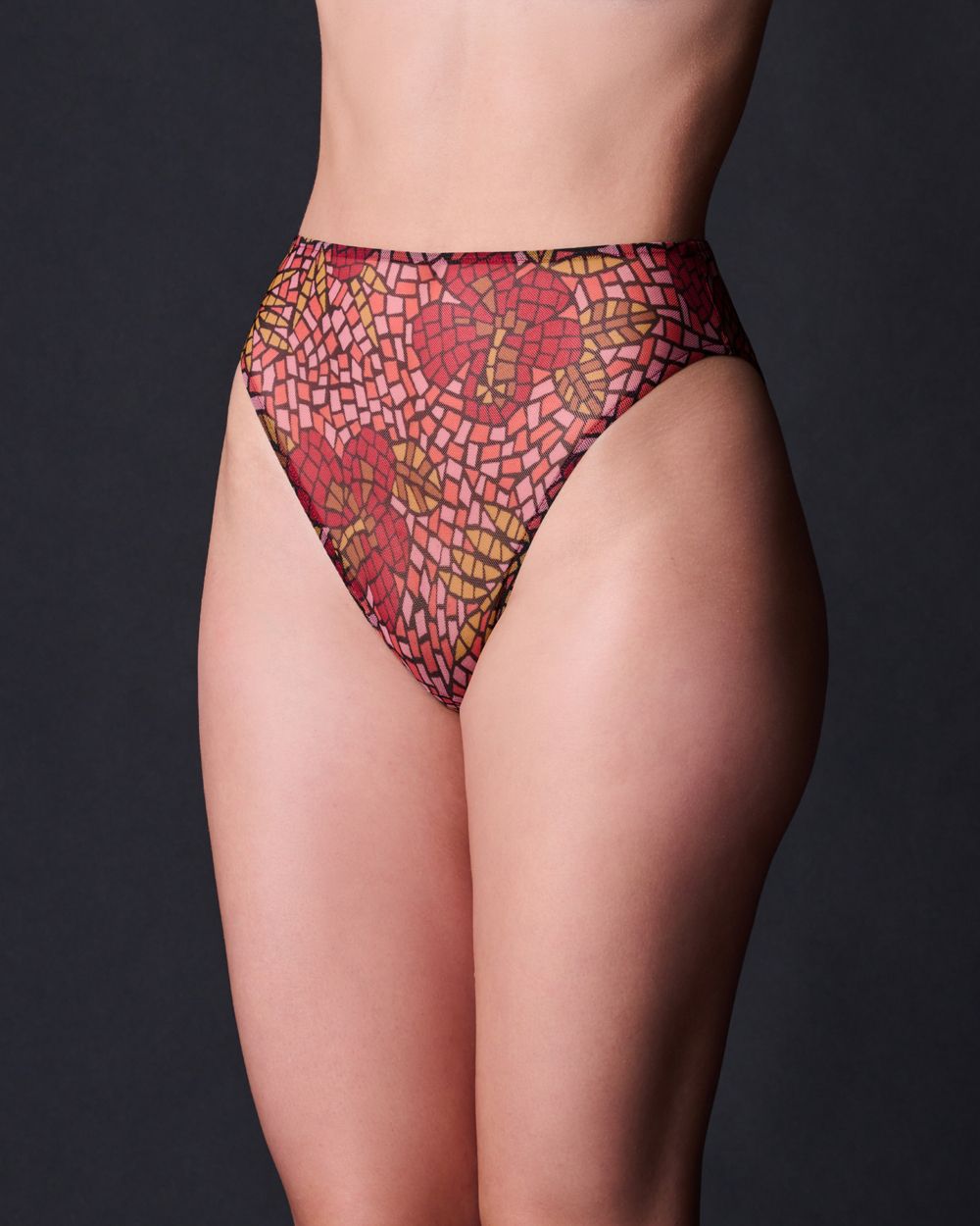 Only Hearts Stained Glass High Cut Brief in red