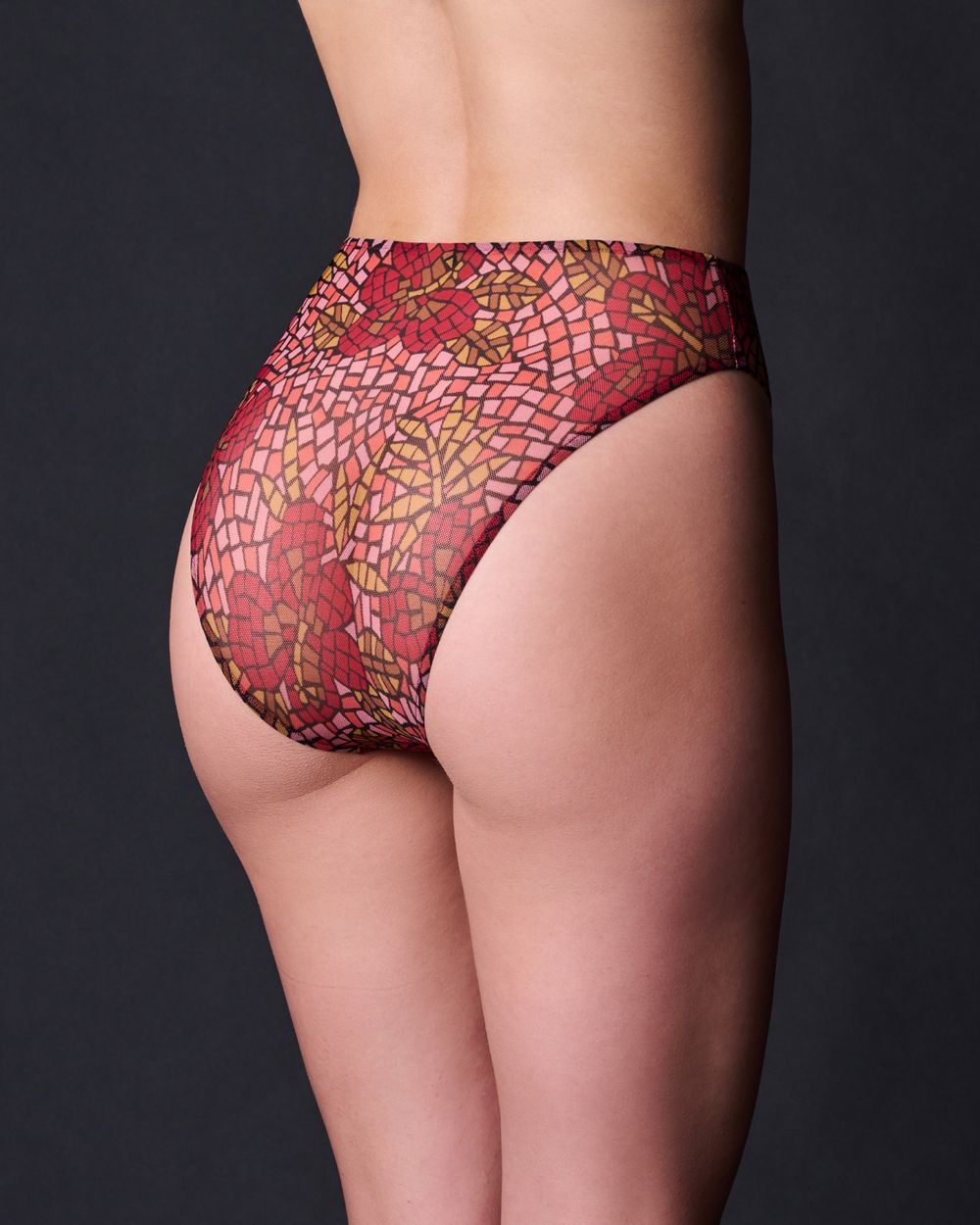 Only Hearts Stained Glass High Cut Brief in red