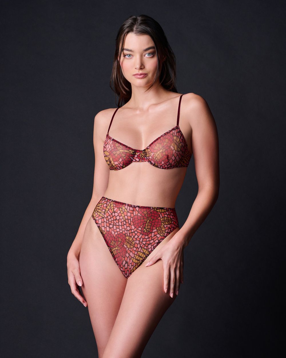 Only Hearts Stained Glass High Cut Brief in red