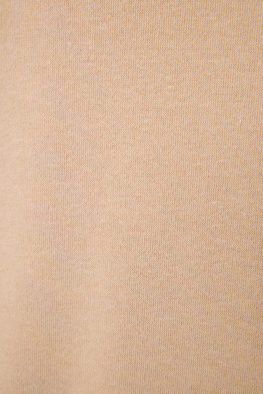 P.J. Salvage Palms Away Warm Taupe Long Sleeve Top in beige