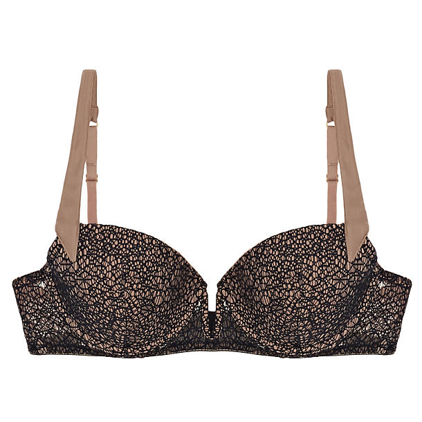 Addiction Vertige Padded Bra in blue