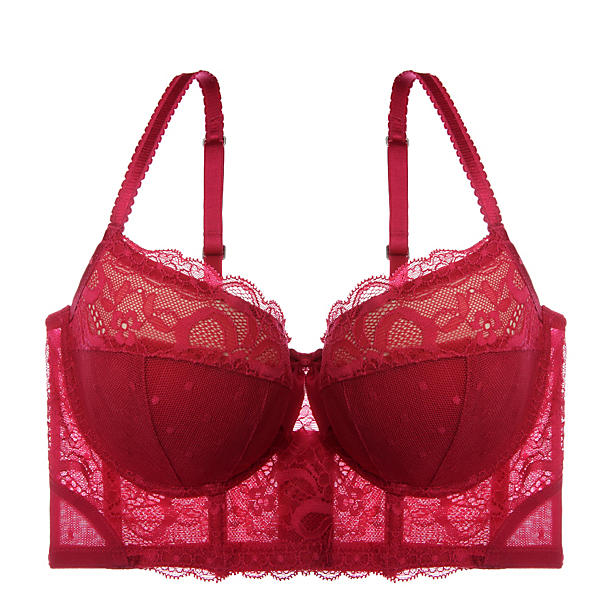 Evollove Night Sky Long Line Bra in red