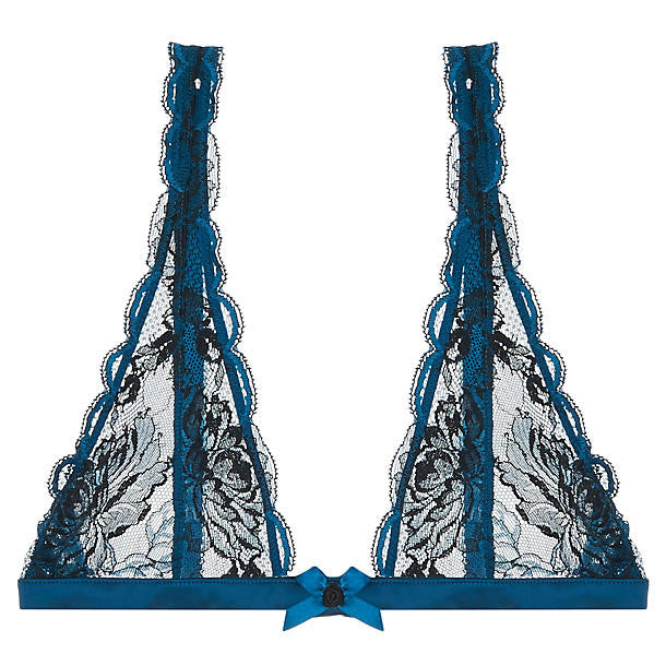 L'Agent Dani Soft Cup Bra in blue