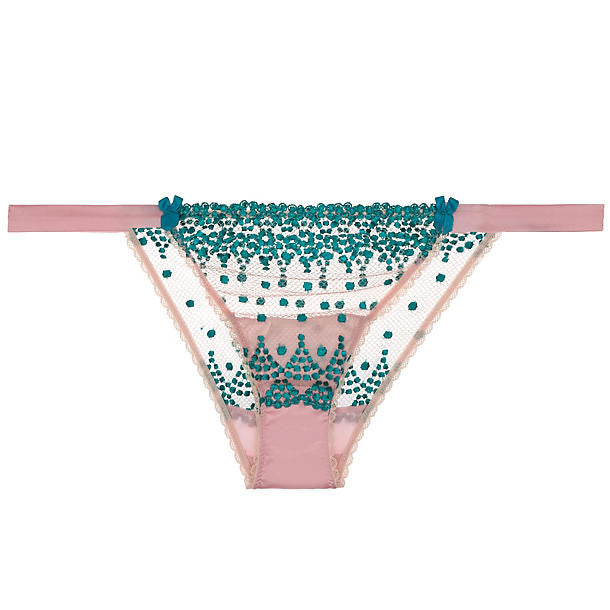 Mimi Holliday Rose Hipster Knicker in pink